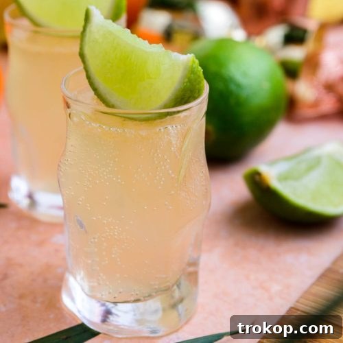 best Cactus cooler shot recipe by sugar and cloth