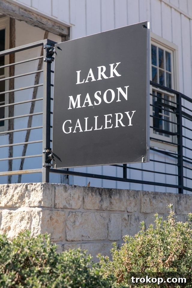Explore New Braunfels: Attractions and Boutiques 15 Lark Mason Gallery signage in New Braunfels, Texas