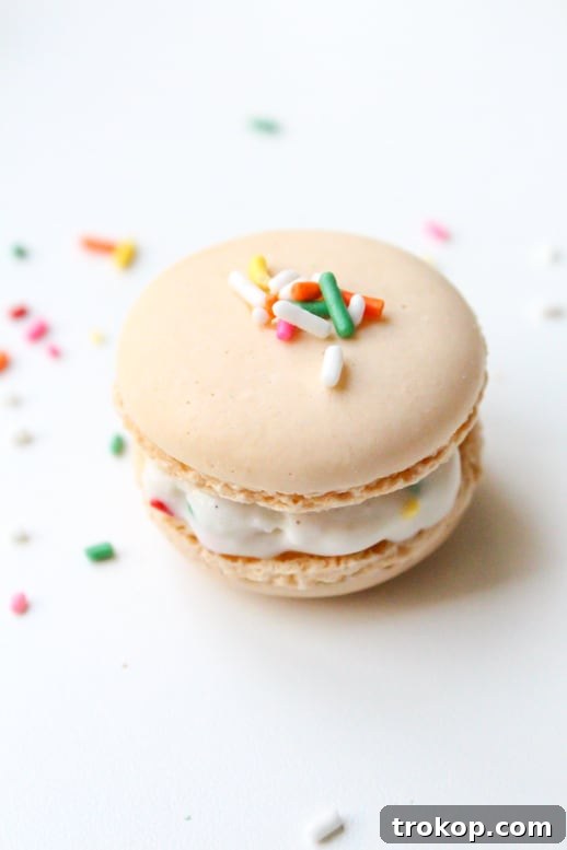 Skinny Macaroon Ice Cream Sandwiches - Sugar & Cloth - Glossary of Macs - Recipe - Houston Blogger