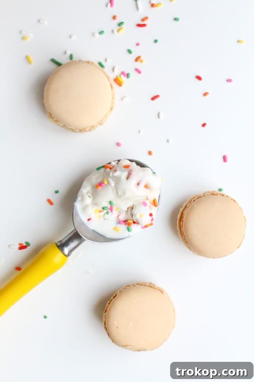 Skinny Macaroon Ice Cream Sandwiches - Sugar & Cloth - Glossary of Macs - Recipe - Houston Blogger