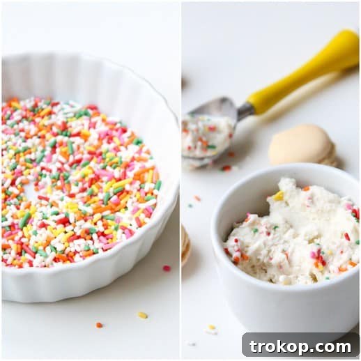 Skinny Macaroon Ice Cream Sandwiches - Sugar & Cloth - Glossary of Macs - Recipe - Houston Blogger