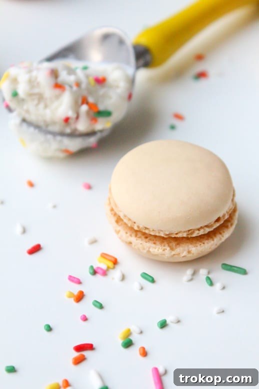 Skinny Macaroon Ice Cream Sandwiches - Sugar & Cloth - Glossary of Macs - Recipe - Houston Blogger