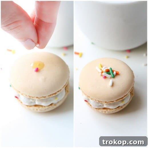 Skinny Macaroon Ice Cream Sandwiches - Sugar & Cloth - Glossary of Macs - Recipe - Houston Blogger