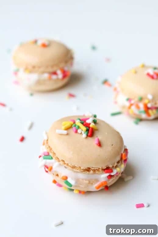 Skinny Macaroon Ice Cream Sandwiches - Sugar & Cloth - Glossary of Macs - Recipe - Houston Blogger