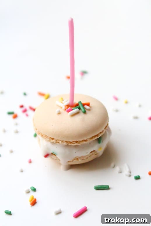 Skinny Macaroon Ice Cream Sandwiches - Sugar & Cloth - Glossary of Macs - Recipe - Houston Blogger