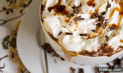 Cozy Homemade Salted Caramel Mocha Drink