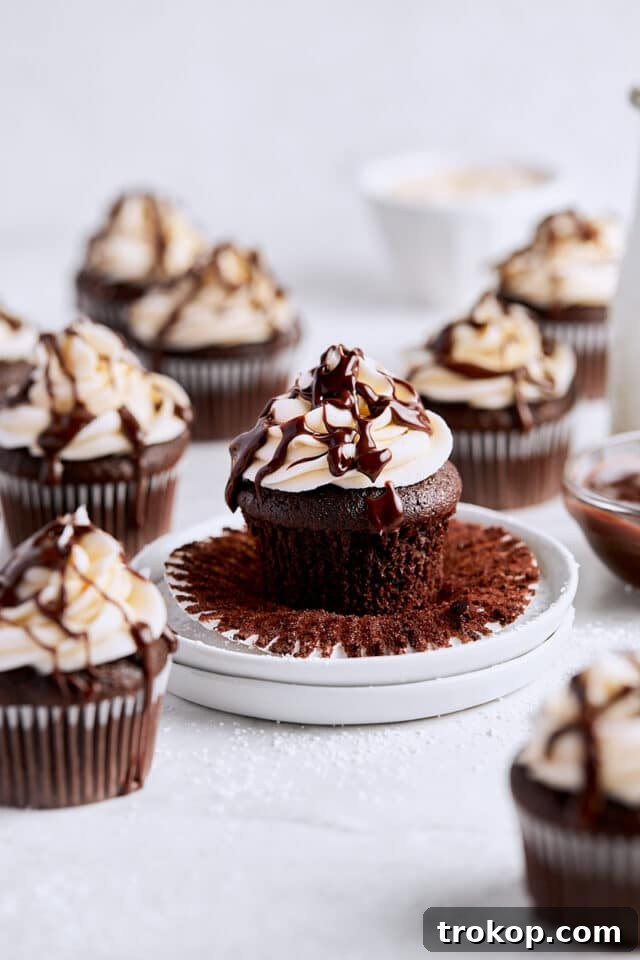 Baileys Bliss: 15 Irresistible Dessert Creations 10 Baileys Irish Cream Cupcakes with Chocolate Ganache