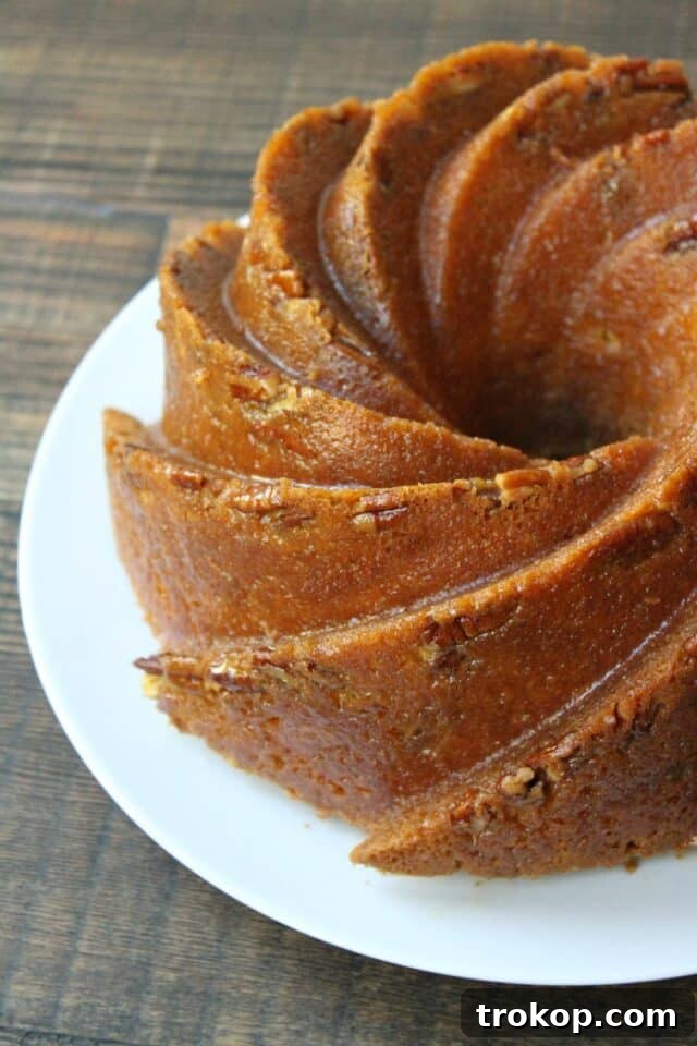 Baileys Bliss: 15 Irresistible Dessert Creations 7 Baileys Irish Cream Bundt Cake with Chocolate Ganache