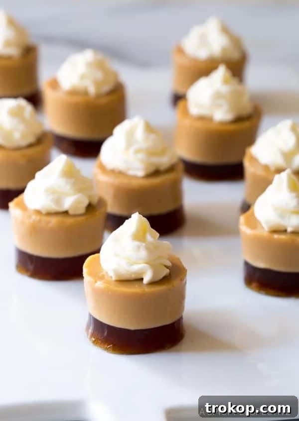 Baileys Bliss: 15 Irresistible Dessert Creations 8 Baileys Irish Cream Jello Shots for Parties