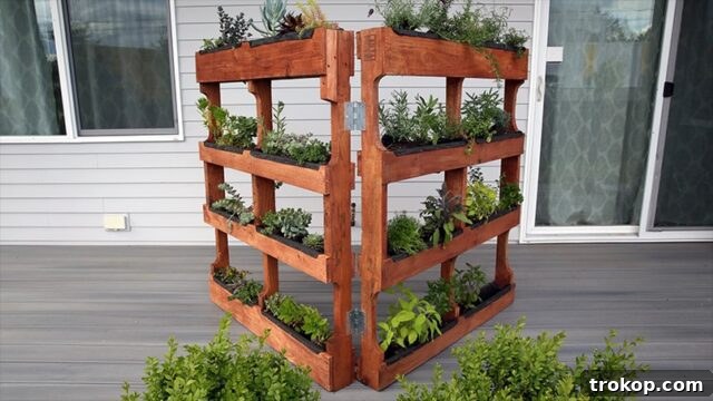 Guide on how to make a freestanding DIY vertical garden from wood pallets, ideal for small plants and succulents in compact spaces