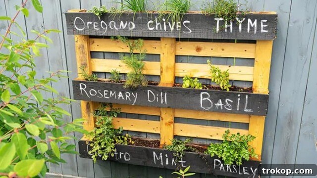 Easy DIY pallet herb garden displayed on a fence, built in just two hours with pallets and a staple gun, perfect for fresh herbs