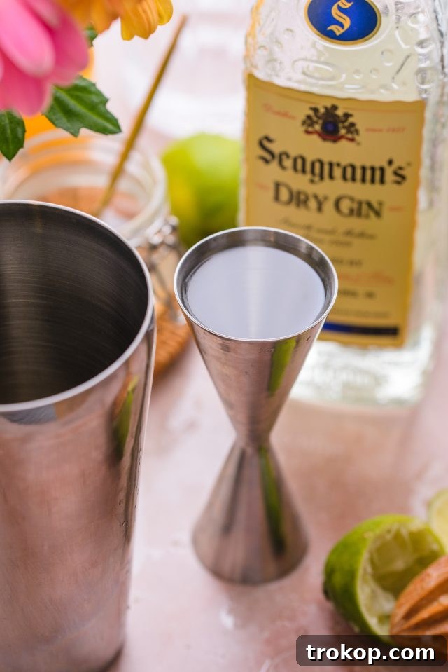 Ingredients for customizing a Gin and Juice cocktail recipe by Sugar and Cloth