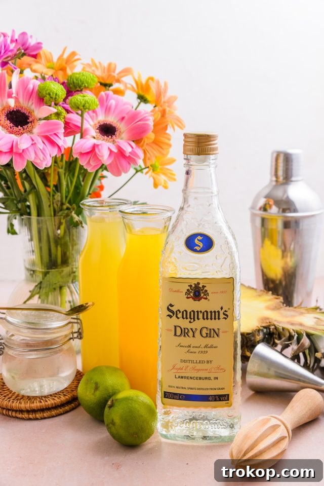 The Best Gin to use for a Gin and Juice Cocktail