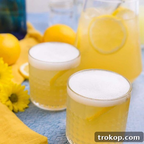 Summer Beer Recipe by Sugar & Cloth