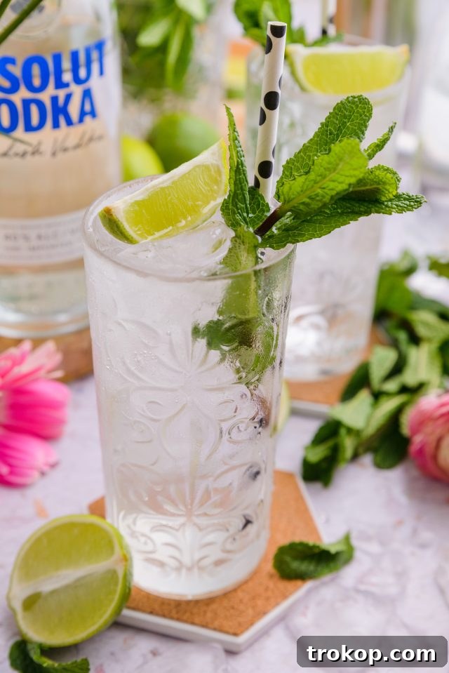 Vodka Press Recipe for s Summer Party Drink Idea