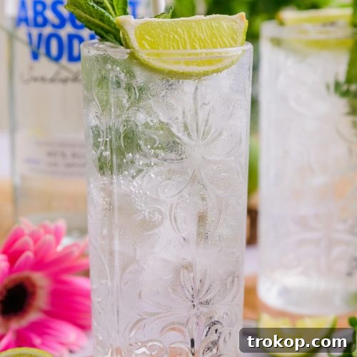 Vodka Press Recipe by Sugar & Cloth