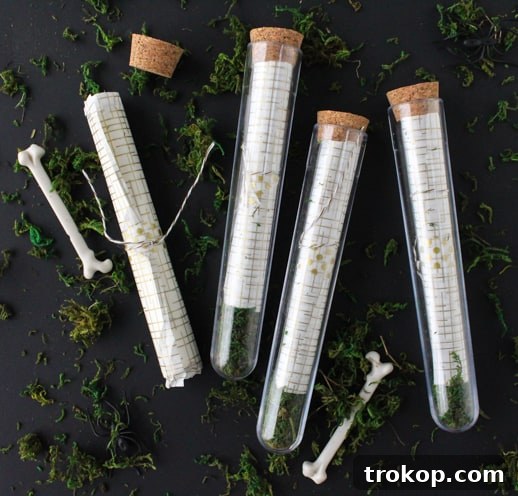 Concocting Fun DIY Test Tube Party Invites 3 DIY test tube party invitations - Sugar & Cloth - Houston Blogger - Gift