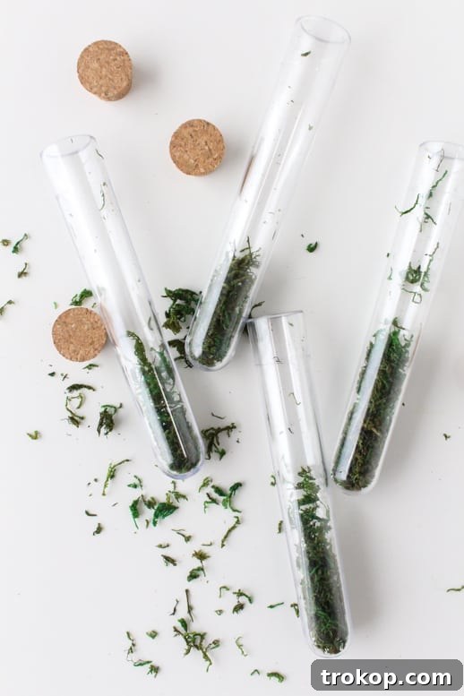 Concocting Fun DIY Test Tube Party Invites 4 DIY test tube party invitations - Sugar & Cloth - Houston Blogger - Gift