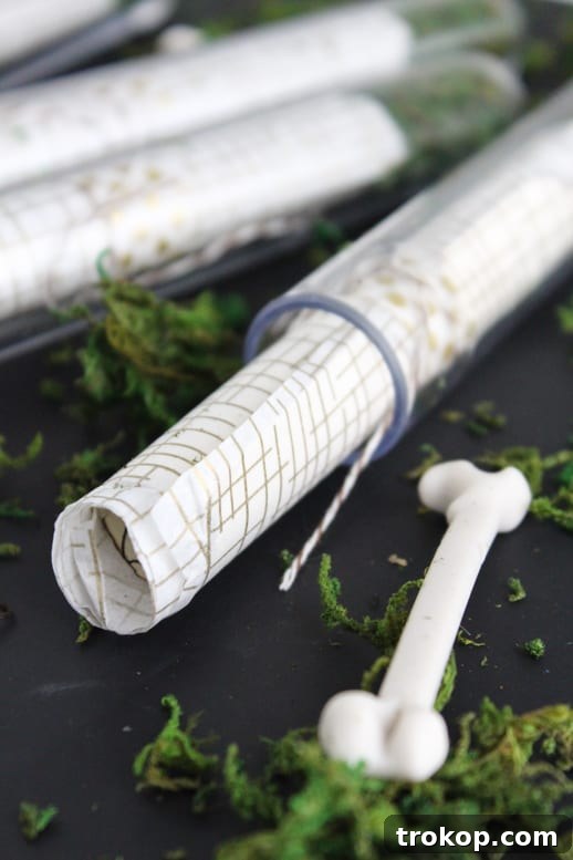Concocting Fun DIY Test Tube Party Invites 6 DIY test tube party invitations - Sugar & Cloth - Houston Blogger - Gift