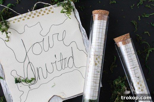 Concocting Fun DIY Test Tube Party Invites 7 DIY test tube party invitations - Sugar & Cloth - Houston Blogger - Gift