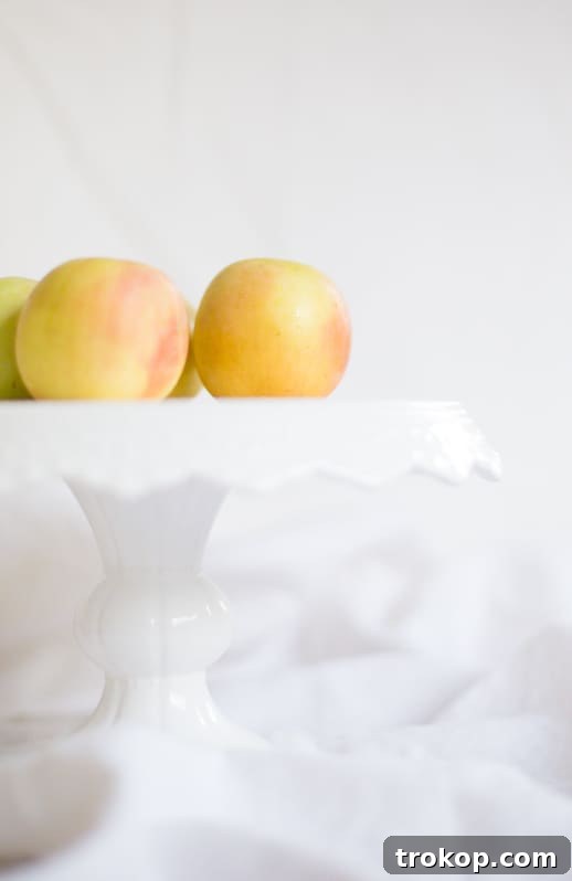 Mini Apple Tarts in a baking pan