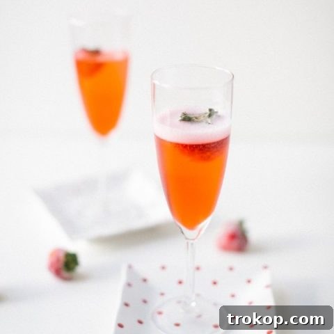 Red Currant Champagne - sugar and cloth