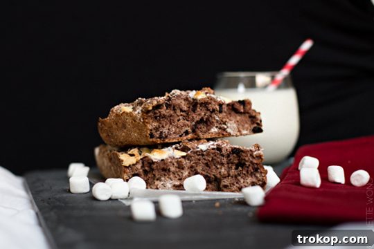 Decadent 3 Ingredient Hot Chocolate Bread 6 Delicious Hot Chocolate Bread with a rich chocolate swirl and marshmallows