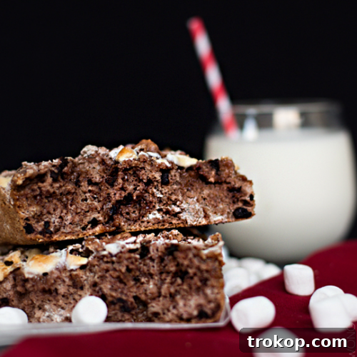 Hot Chocolate Bread, perfect for Christmas and holiday baking