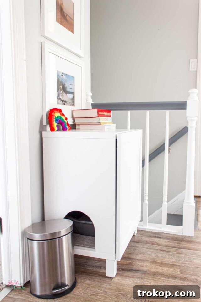 Clever IKEA BESTA Transformations for a Chic and Organized Home 19 How to Make a DIY Hidden Litter Box from an IKEA Cabinet with an Ikea Besta