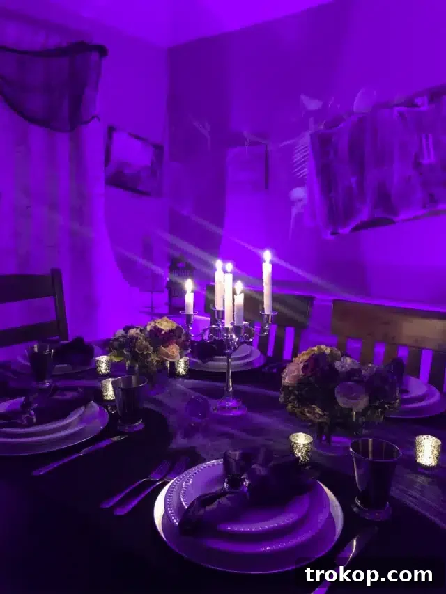 Howling Fun: Lively Halloween Party Theme Ideas 10 Haunted House Party