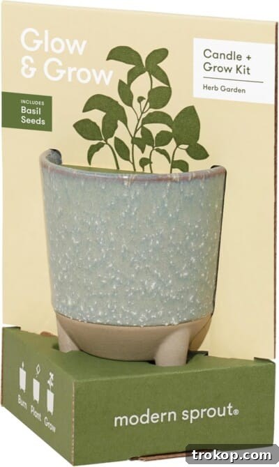 Modern Sprout Glow and Grow Kit - 2 in 1 Scented Candle That Grows into a Basil Plant - 12 oz Soy Candle for hostess gifts.