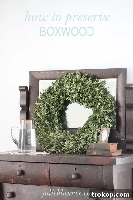 27 Handmade Christmas Wreaths for a Festive Home 28 Timeless and fragrant DIY Boxwood Wreath with preserved evergreen