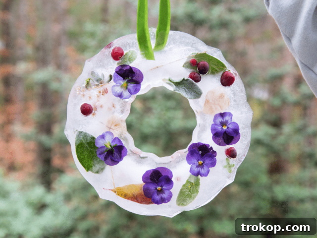 27 Handmade Christmas Wreaths for a Festive Home 29 Unique outdoor DIY Nature Ice Wreath for birds