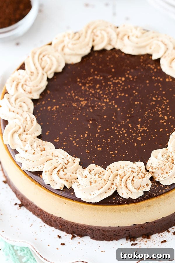 Kahlua Coffee Brownie Cheesecake