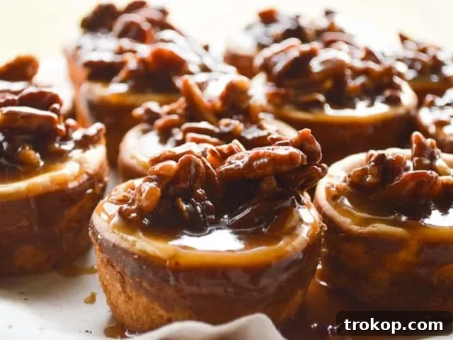 Spiced Rum Pecan Cheesecakes for alcohol desserts