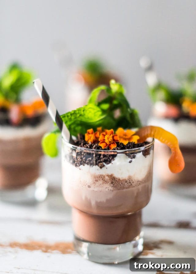 photo of a finished dirt cup dirt dessert recipe