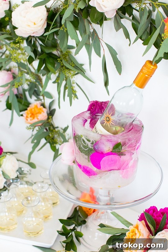 Sparkling Ideas: Crafting the Perfect Mimosa Bar for Any Celebration 9 DIY frozen wine bucket - sugar & cloth