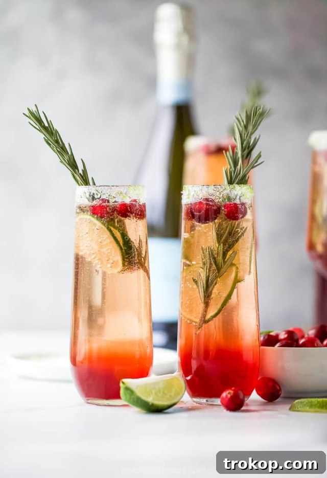 Sparkling Ideas: Crafting the Perfect Mimosa Bar for Any Celebration 12 Easy Festive Cranberry Mimosa Recipe