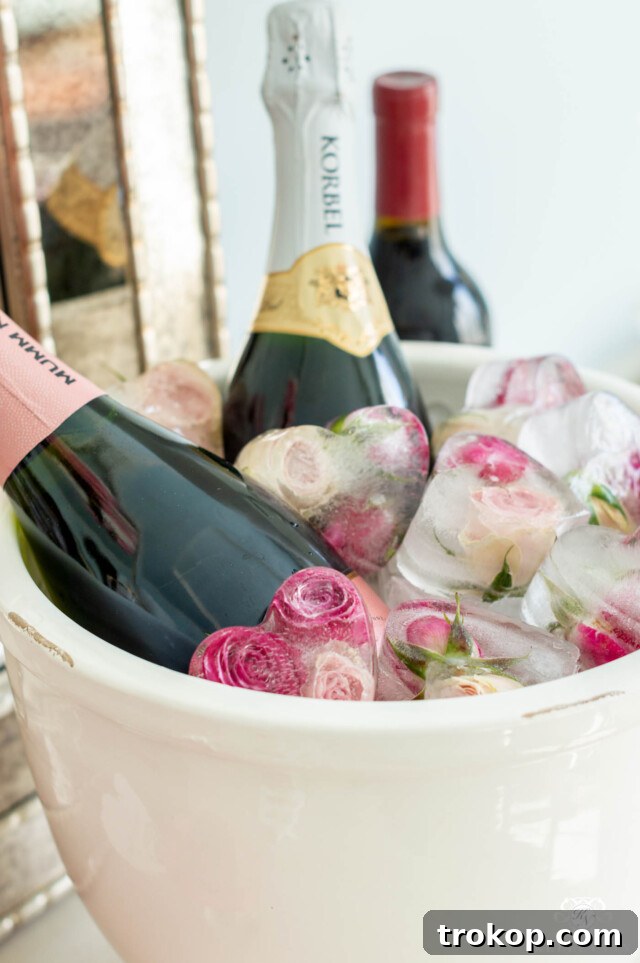 Sparkling Ideas: Crafting the Perfect Mimosa Bar for Any Celebration 13 Mimosa Bar Ice for Valentine's Day