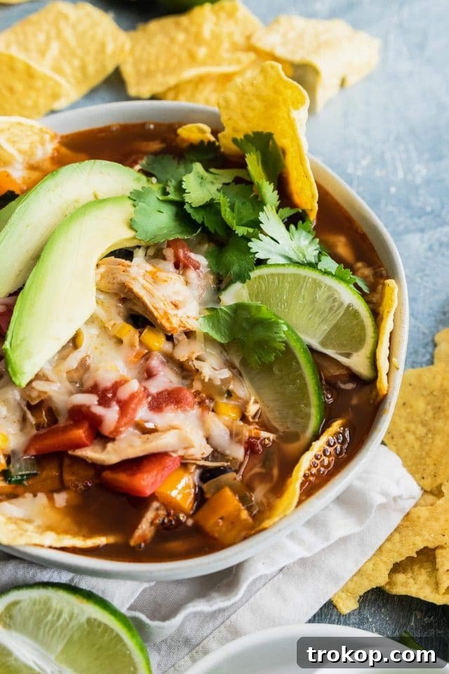 Beyond Boring: Inventive Leftover Chicken Recipes for Stellar Weeknights 3 photo of a closeup of a loaded easy chicken tortilla soup topped with avocado and lime wedges by top Houston lifestyle blogger Ashley Rose of Sugar & Cloth