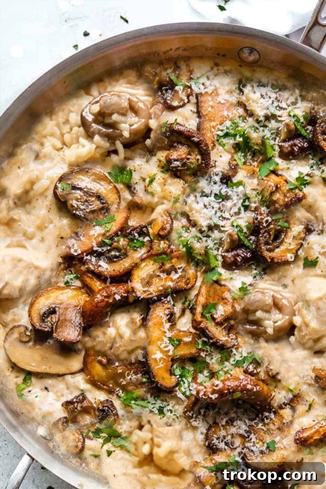 Beyond Boring: Inventive Leftover Chicken Recipes for Stellar Weeknights 24 Chicken & Mushroom Risotto