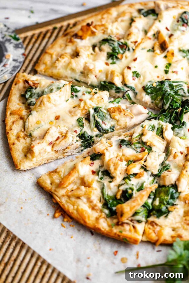 Beyond Boring: Inventive Leftover Chicken Recipes for Stellar Weeknights 25 Chicken Alfredo Pizza