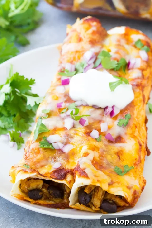 Beyond Boring: Inventive Leftover Chicken Recipes for Stellar Weeknights 28 easy chicken enchiladas using leftover chicken recipes
