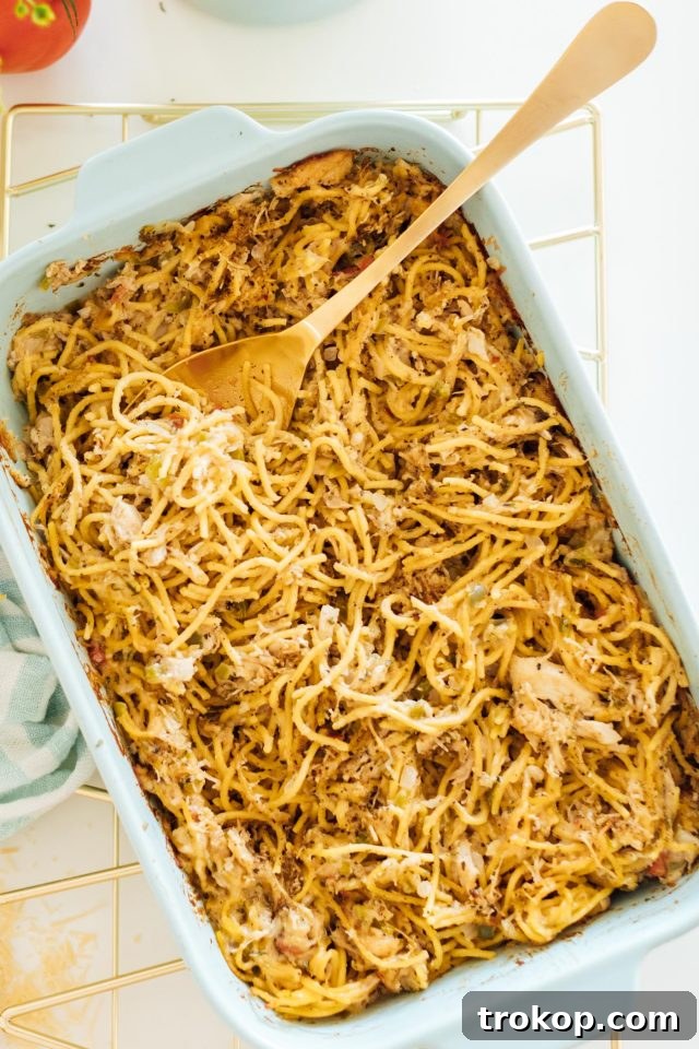 Beyond Boring: Inventive Leftover Chicken Recipes for Stellar Weeknights 4 by top Houston lifestyle blogger Ashley Rose of Sugar & Cloth