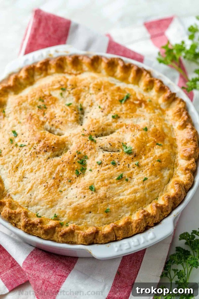 Beyond Boring: Inventive Leftover Chicken Recipes for Stellar Weeknights 8 Chicken Pot Pie Recipe