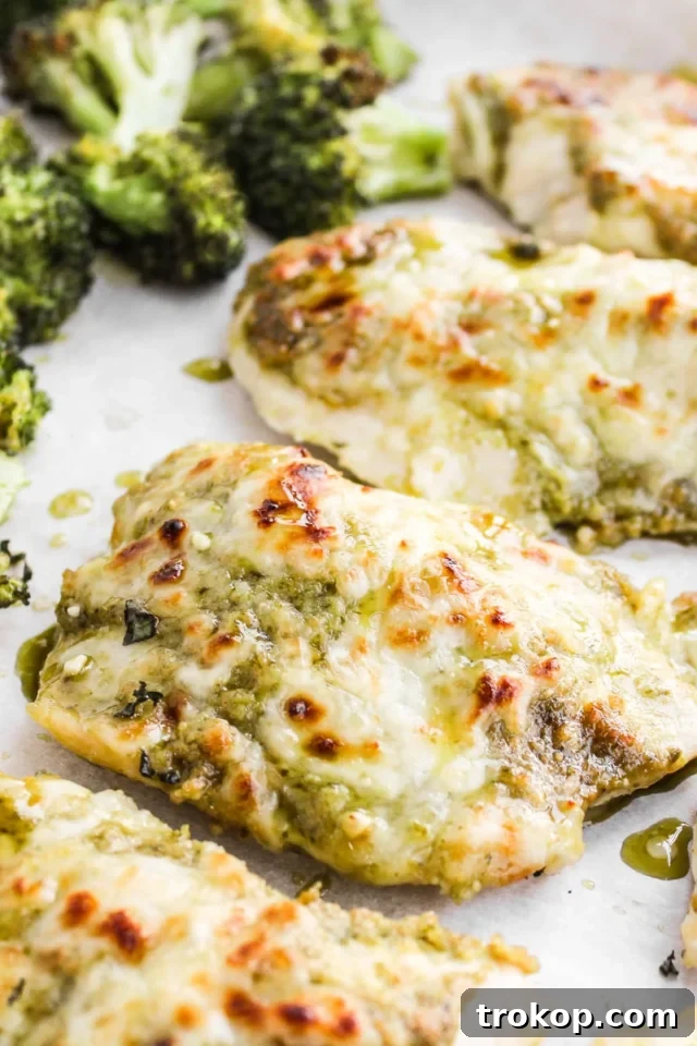 Sheet Pan Pesto Chicken