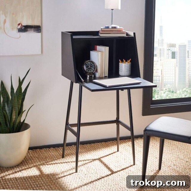 Safavieh Home Office Xander Modern Black Storage Secretary Desk
