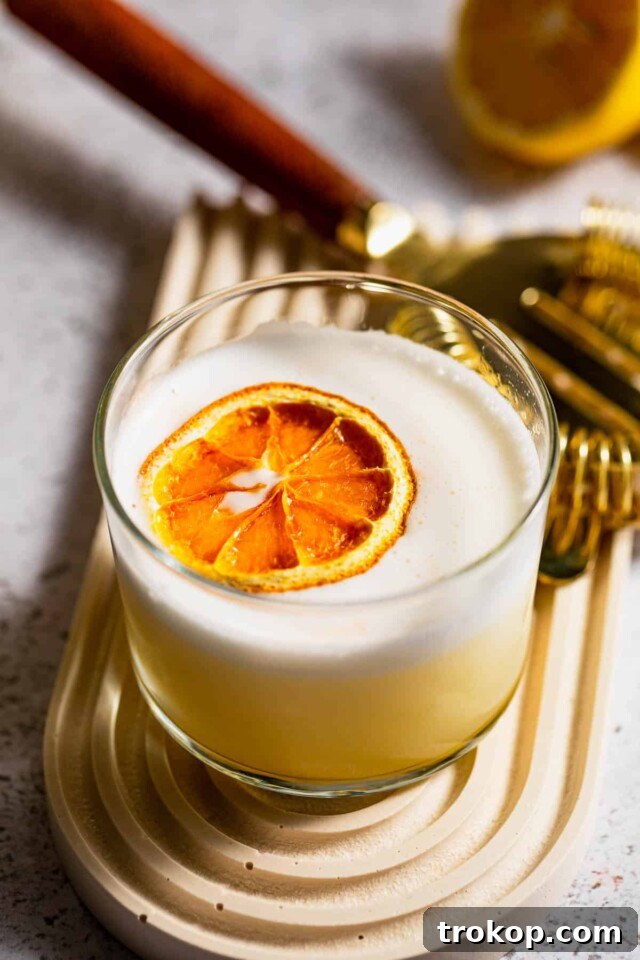Pucker Up: Exploring the Universe of Sour Cocktails 17 Gin Sour Cocktail Recipe