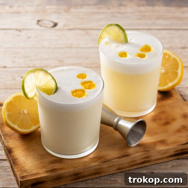 Pucker Up: Exploring the Universe of Sour Cocktails 18 The Best Pisco Sour