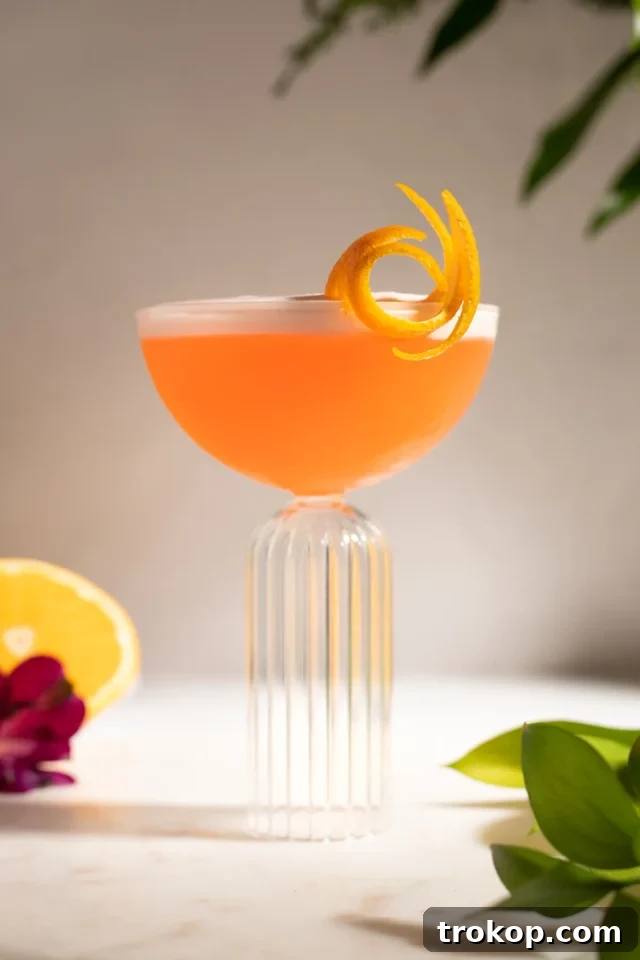 Pucker Up: Exploring the Universe of Sour Cocktails 20 Perfect Aperol Sour